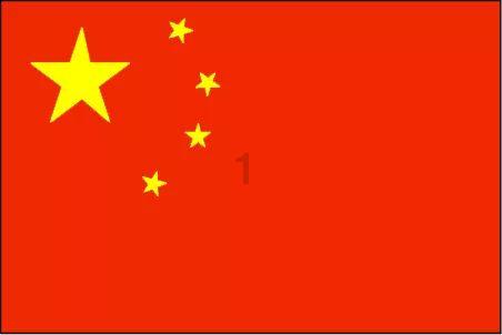 金刚鹦鹉逃生